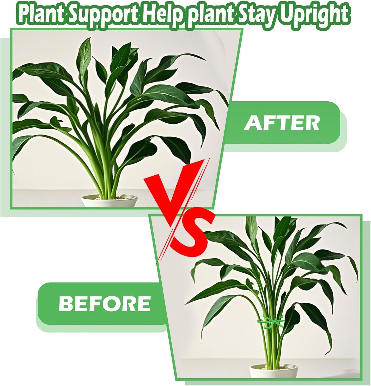 Reusable Plant Support Holders