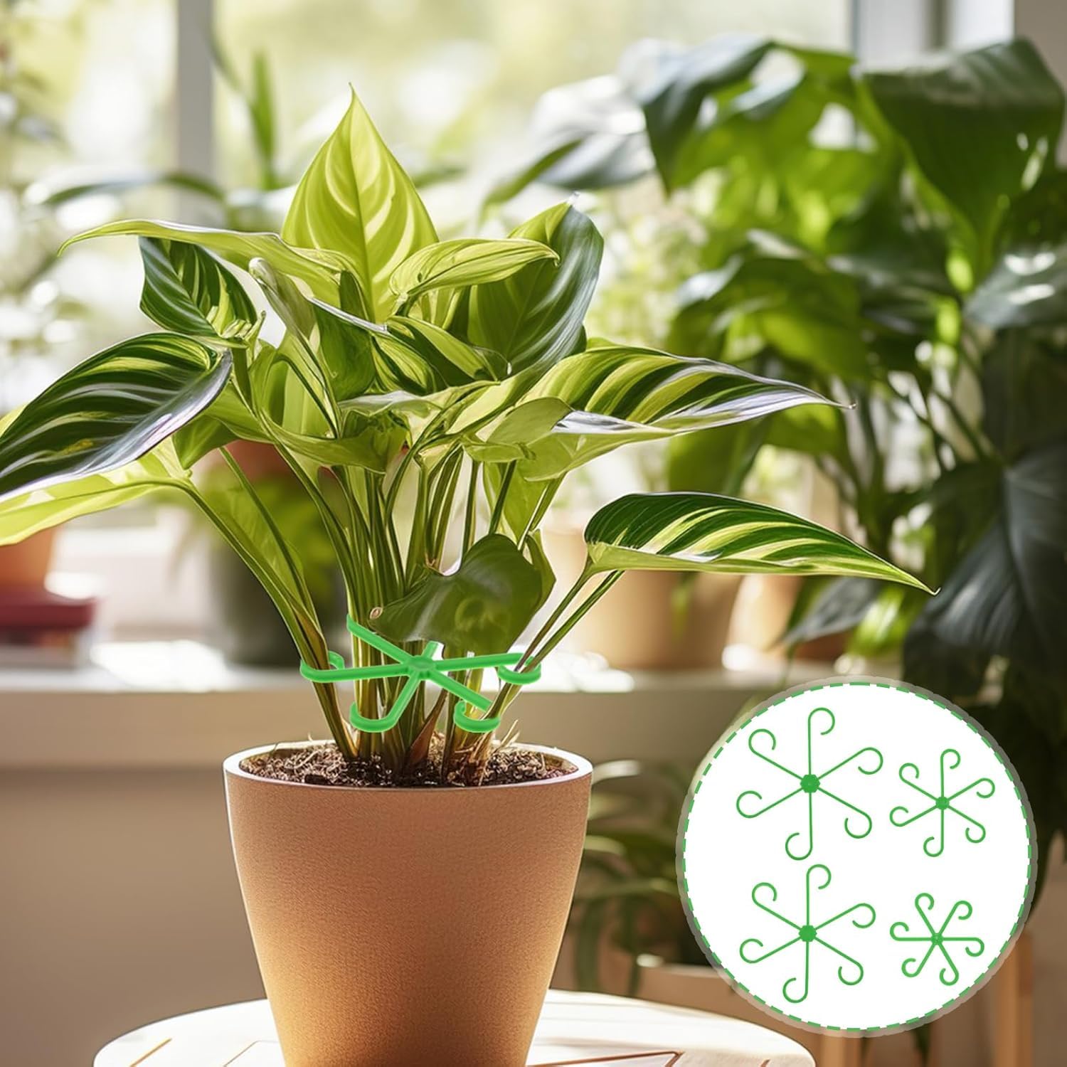 Reusable Plant Support Holders