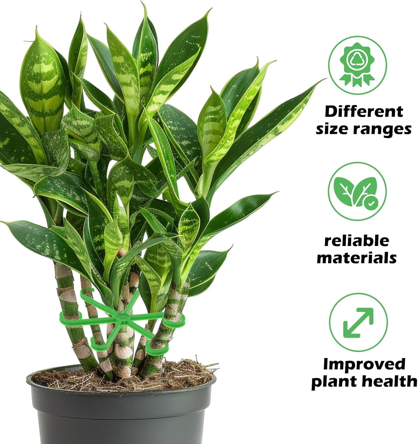 Reusable Plant Support Holders