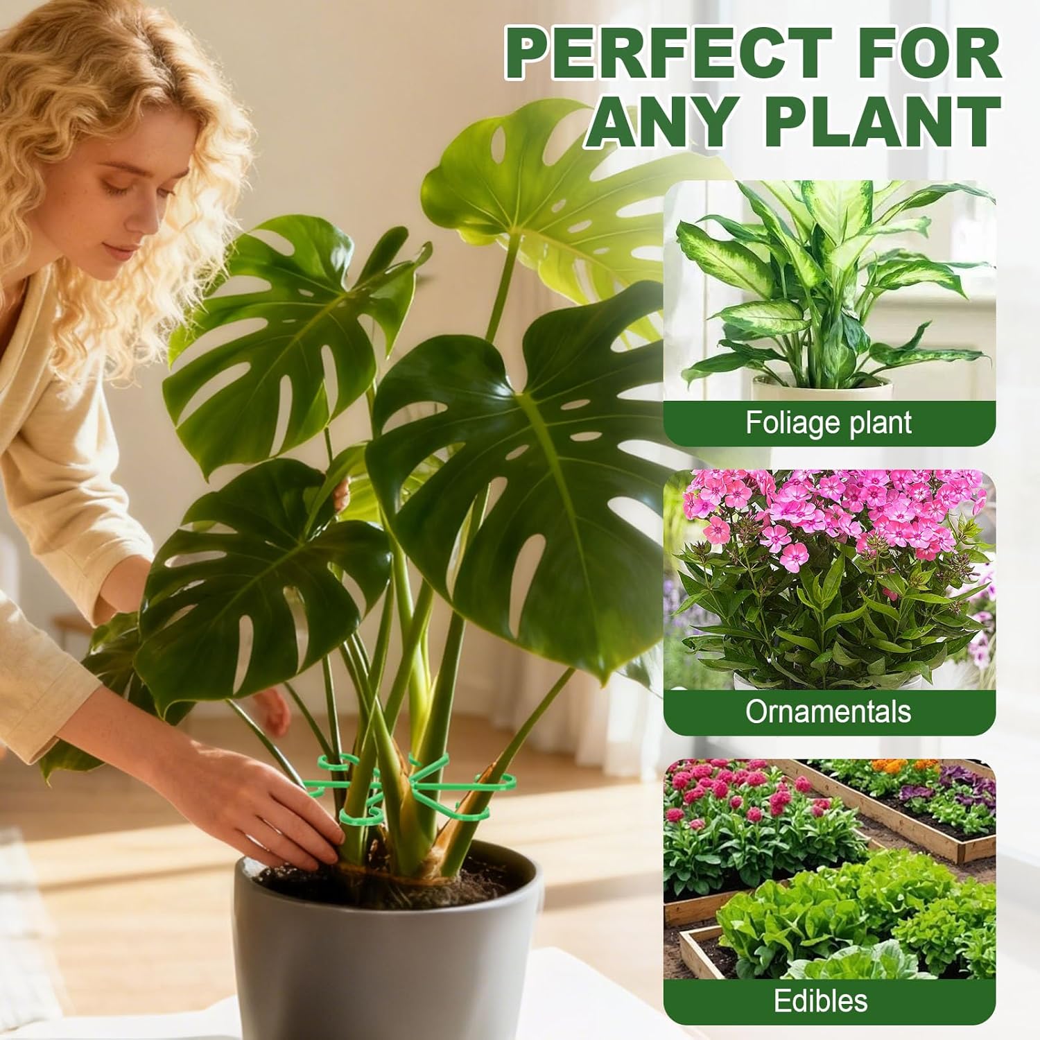 Reusable Plant Support Holders